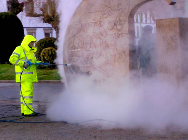 Best Local Pressure Washing Services  in Brooklyn, IN